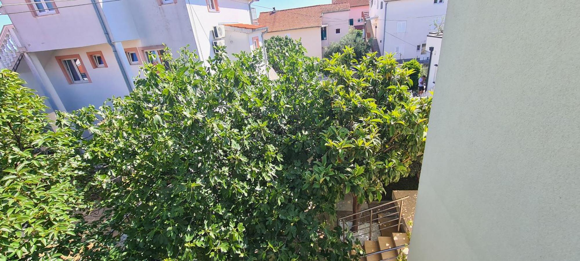 Neda Vodice